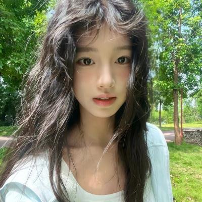 网中的太阳