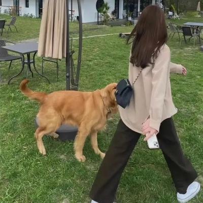 扑通扑通的青春